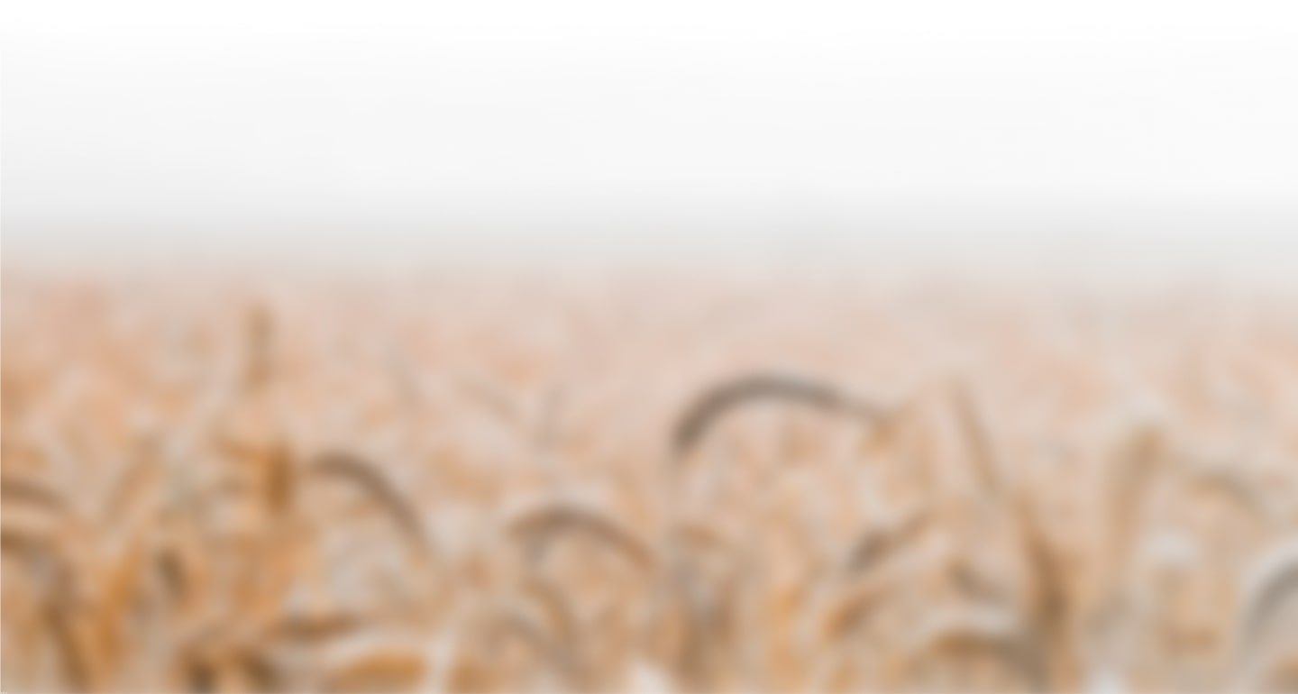 Показано — section back Section back