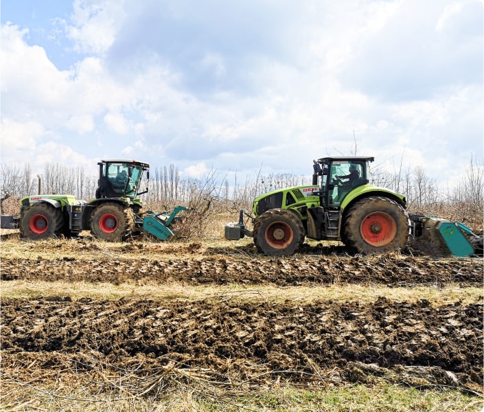 Комплексная раскорчевка